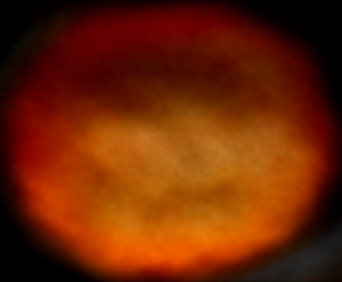 Crispy Pizza Chips Recipe