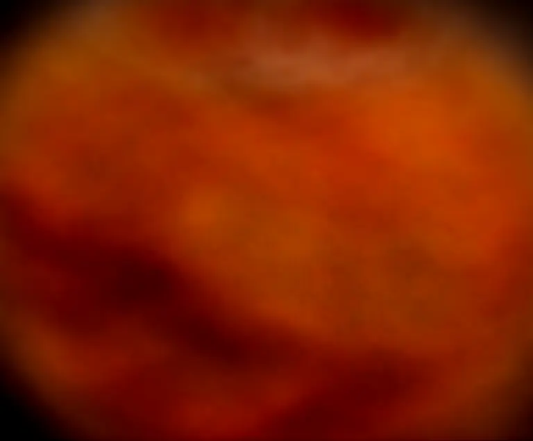 Golden and crispy pizza chips topped with cheese and herbs, perfect for snacking.